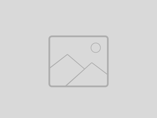 Crash Rated Automatic Gate Systems